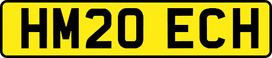 HM20ECH