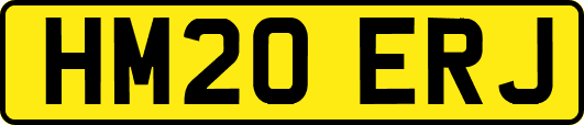 HM20ERJ