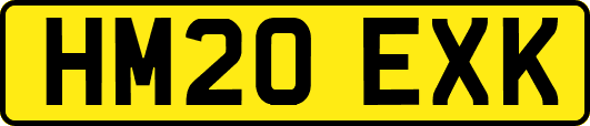 HM20EXK