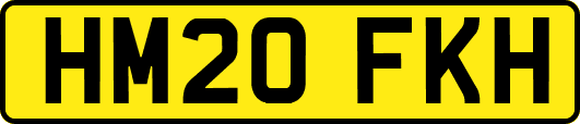 HM20FKH