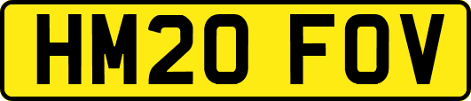 HM20FOV