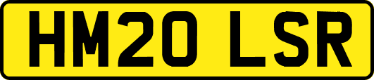 HM20LSR