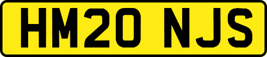 HM20NJS