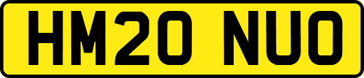 HM20NUO