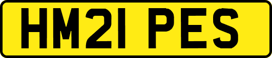 HM21PES