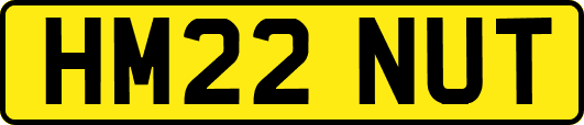 HM22NUT