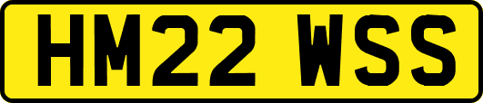 HM22WSS