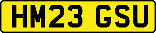 HM23GSU