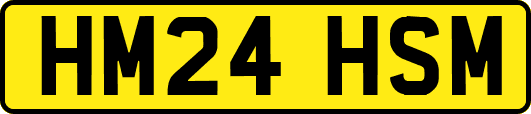 HM24HSM