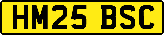 HM25BSC