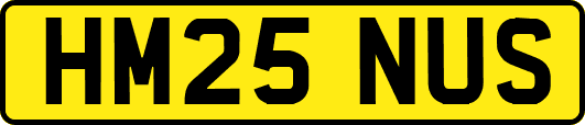 HM25NUS