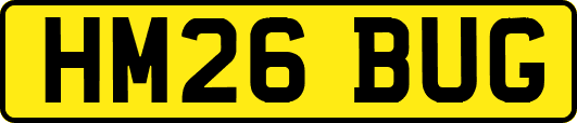 HM26BUG