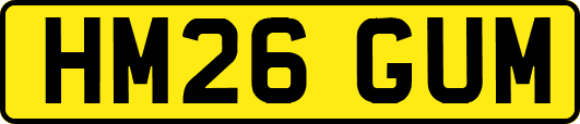 HM26GUM