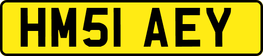 HM51AEY