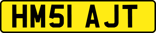 HM51AJT