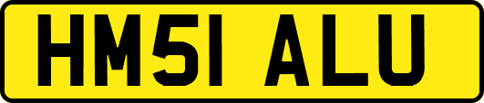 HM51ALU