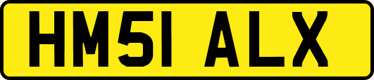 HM51ALX