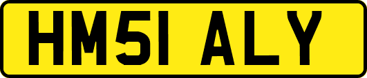 HM51ALY