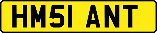 HM51ANT