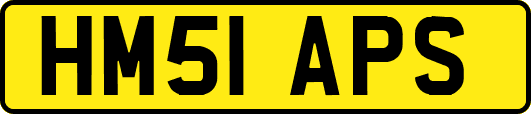 HM51APS