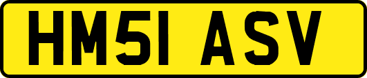 HM51ASV