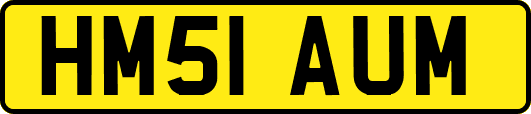 HM51AUM