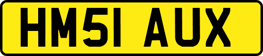 HM51AUX