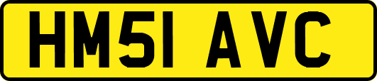 HM51AVC