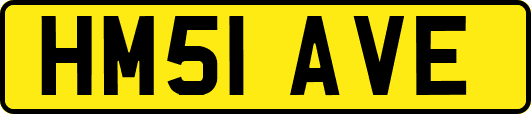 HM51AVE