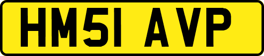 HM51AVP