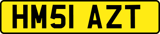 HM51AZT