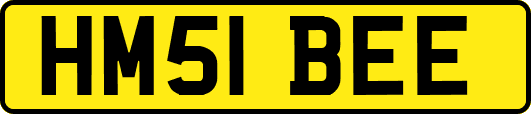 HM51BEE