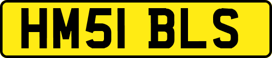 HM51BLS