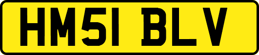 HM51BLV