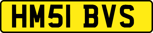 HM51BVS