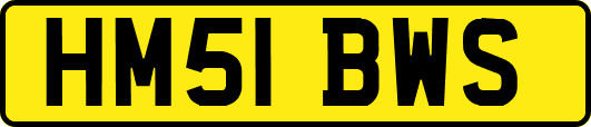 HM51BWS