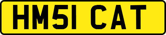 HM51CAT