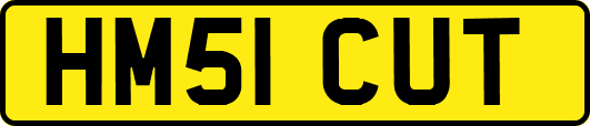 HM51CUT