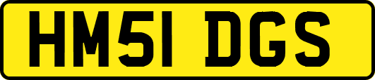 HM51DGS