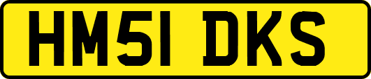 HM51DKS