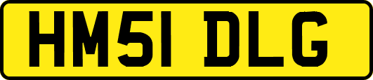 HM51DLG