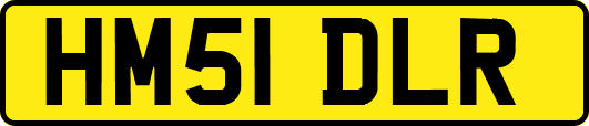 HM51DLR