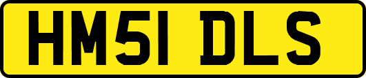 HM51DLS