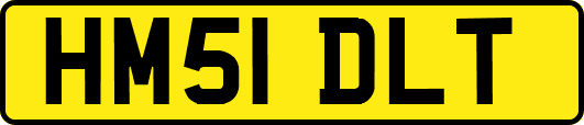 HM51DLT