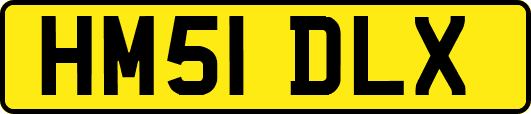 HM51DLX