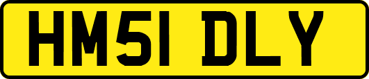 HM51DLY