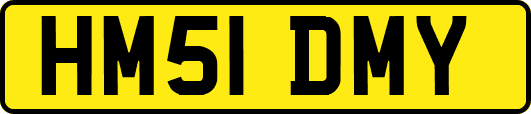 HM51DMY