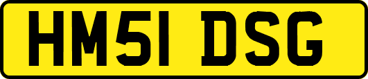 HM51DSG