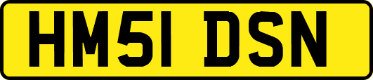 HM51DSN