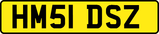 HM51DSZ